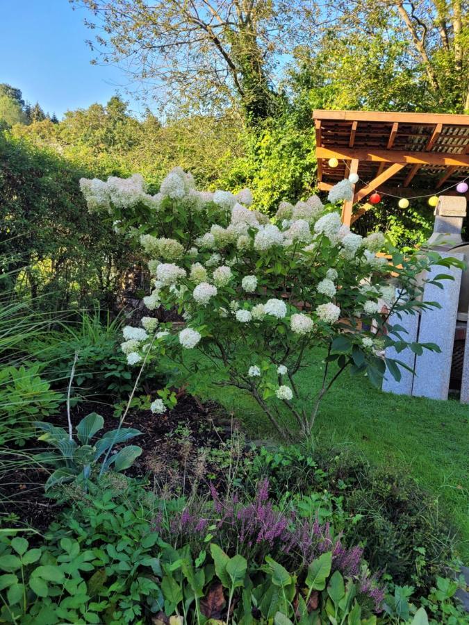 Am Moehnesee فارشتاين المظهر الخارجي الصورة